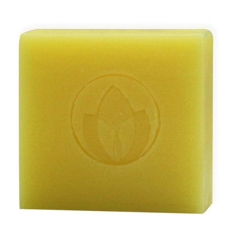 Essential Oils Hand Soap Set (6)